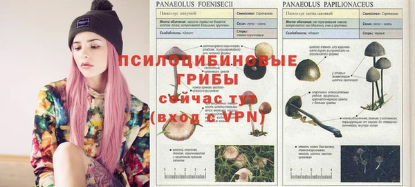 мдма Карталы