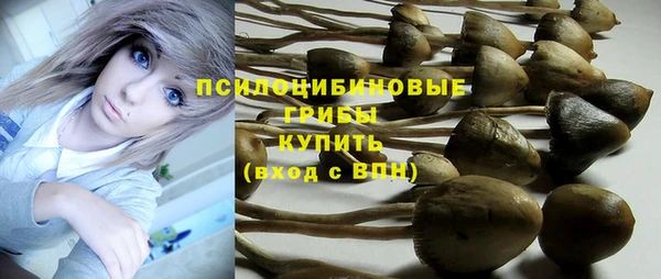 MDMA Premium VHQ Касимов