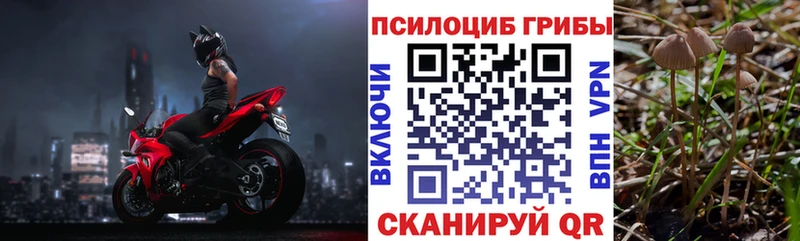 Купить где Мирный Галлюциногенные грибы Magic Shrooms